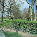 Ashes Playing Field / MUGA